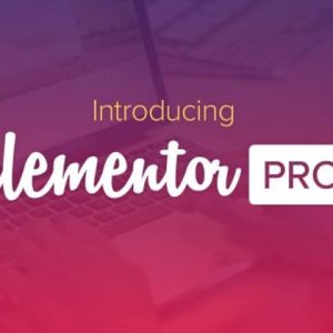 Elementor Pro - Фронтенд Редактор + шаблоны Премиум от Elementorism