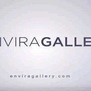 Envira Gallery