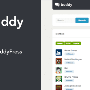priytel 300x300 - Buddy: многоцелевая Тема Сообщества WordPress/BuddyPress
