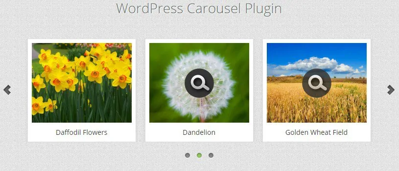 Scrapes – плагин Автоматического захвата веб контента и авто постинга для WordPress