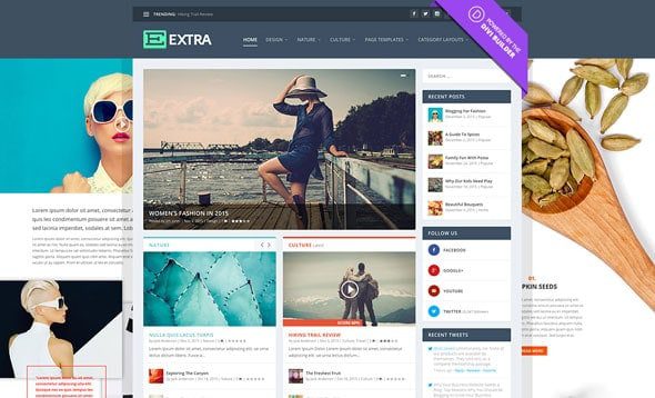 Extra - Elegantthemes Премиум Тема Extra - Elegantthemes Премиум Тема