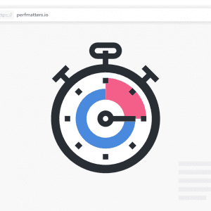 Performance Plugin 300x300 - Perfmatters - плагин ускорения WordPress сайта