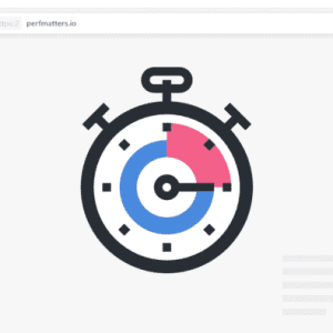 Performance Plugin scaled 300x300 - Perfmatters - плагин ускорения WordPress сайта