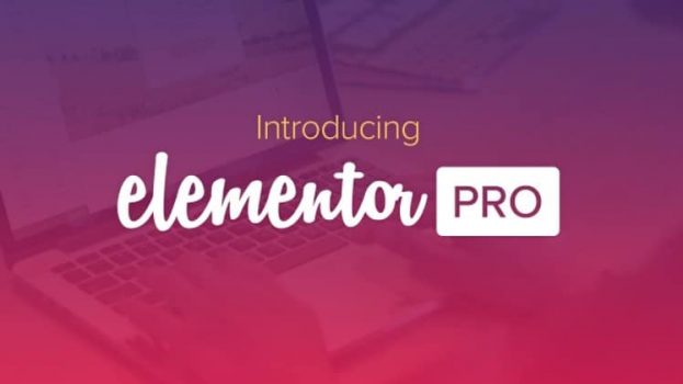 Elementor Pro - Фронтенд Редактор + шаблоны Премиум от Elementorism