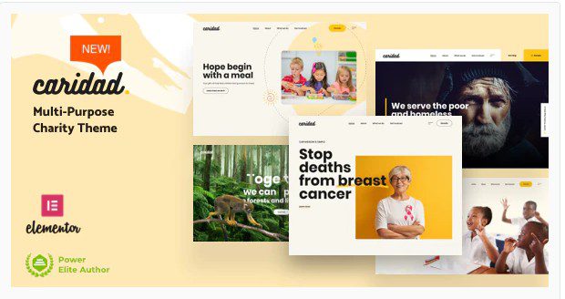 Caridad v2.1 - Charity WordPress NULLED Caridad v2.1 - Charity WordPress NULLED