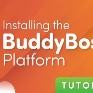 buddyboss platform pro 300x300 - BuddyBoss - Platform Theme