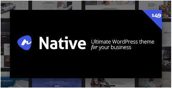 Native - wordpress тема для стартапов