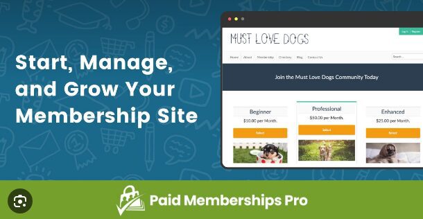 Paid Memberships Pro + Дополнения - Самый полный плагин WordPress для членства