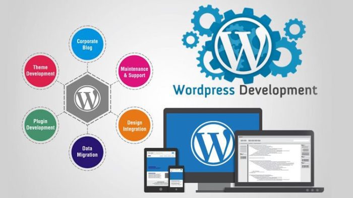 WP Offload Media v3.2.12 – Ускорьте свой сайт WordPress максимально.