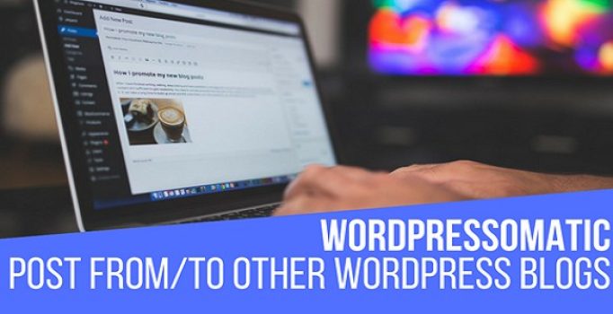 Авто публикация с одного/на другие установки WordPress с легкостью.