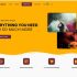 White Label CMS – свой бренд в wordpress