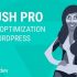 TranslatePress – Multilingual + TranslatePress – Business + add-ons – плагин перевода сайтов с расширениями.