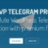 SwissEagle 3.0 – Магазин часов WordPress